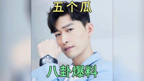 娱乐圈吃瓜故事在线阅读